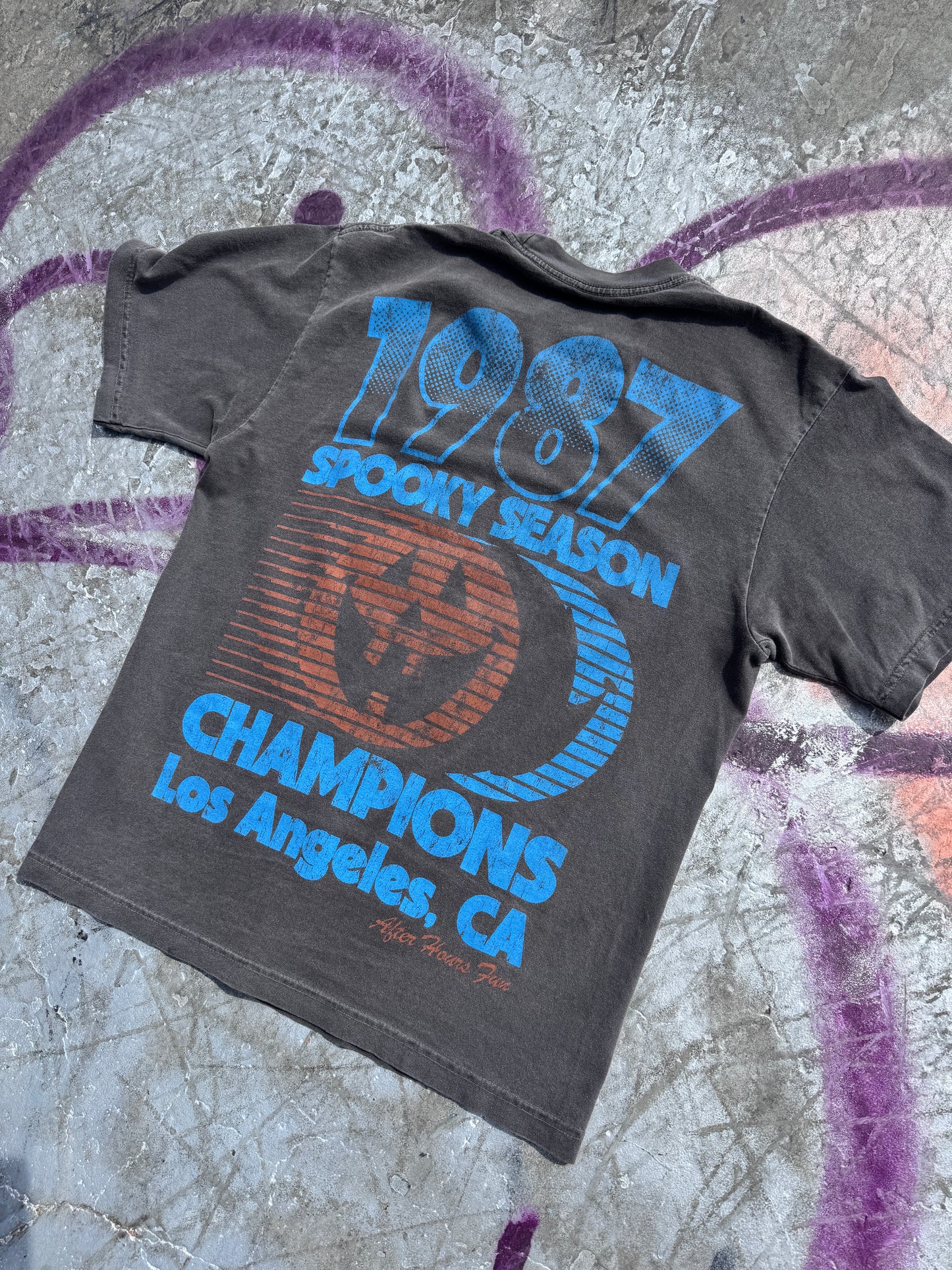 Spooky 87 Heavyweight Tee — Coming Mid-September
