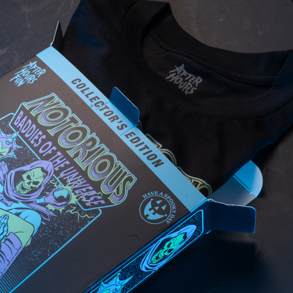 NOTORIOUS BADDIE - Skeletor Fan Art Special Collector's Box Limited Edition to 50 With Exclusive Enamel Pin - AFTERHOURSFUN