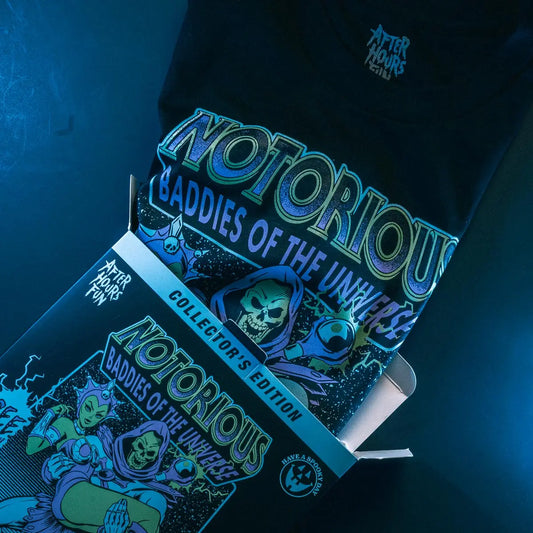 NOTORIOUS BADDIE - Skeletor Fan Art Special Collector's Box Limited Edition to 50 With Exclusive Enamel Pin - AFTERHOURSFUN