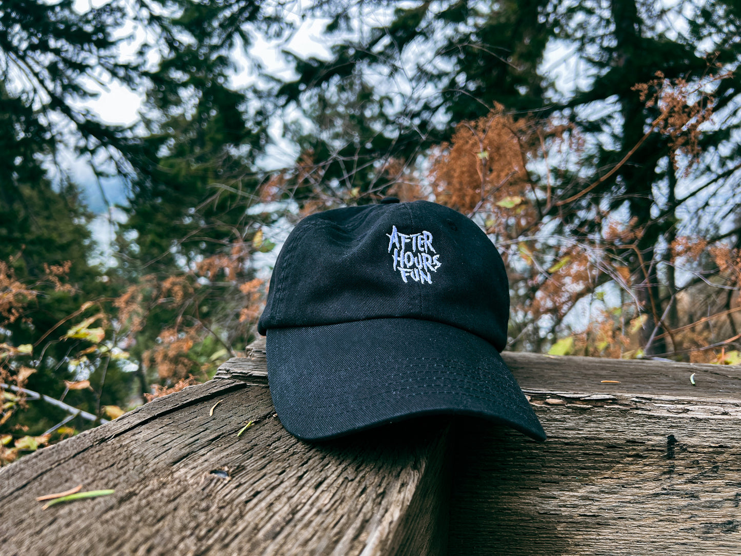 Embroidered Logo Dad's Cap